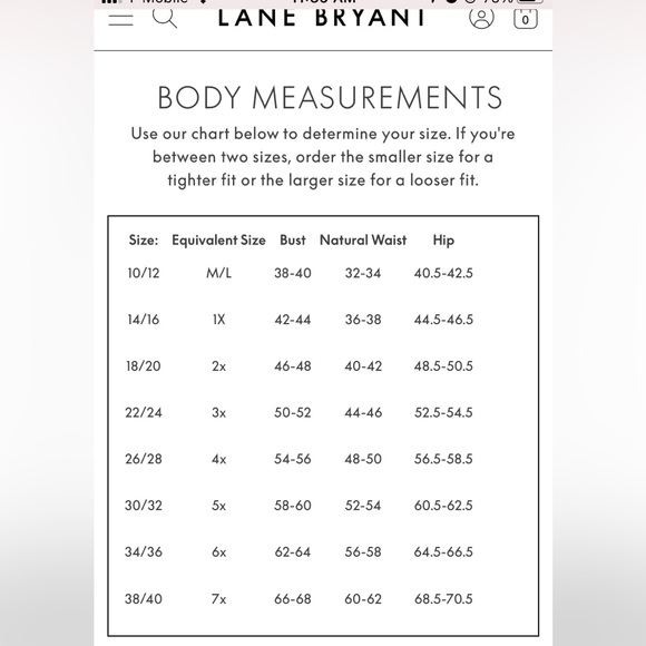 🏇Lane Bryant Colorful Paisley Dress with Purple Accents - Picture 10 of 10